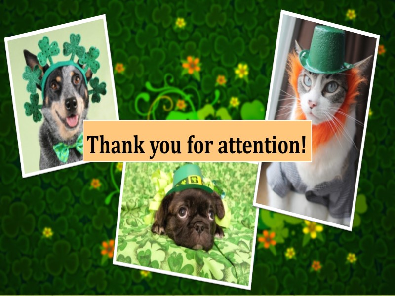 Thank you for attention!